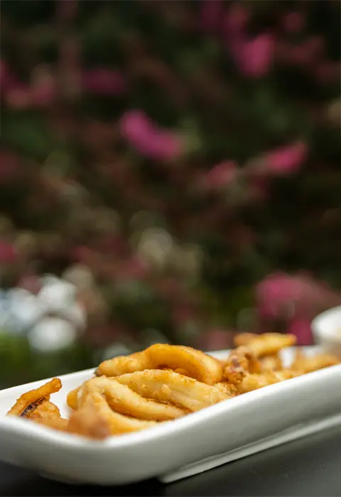 CALAMARES
